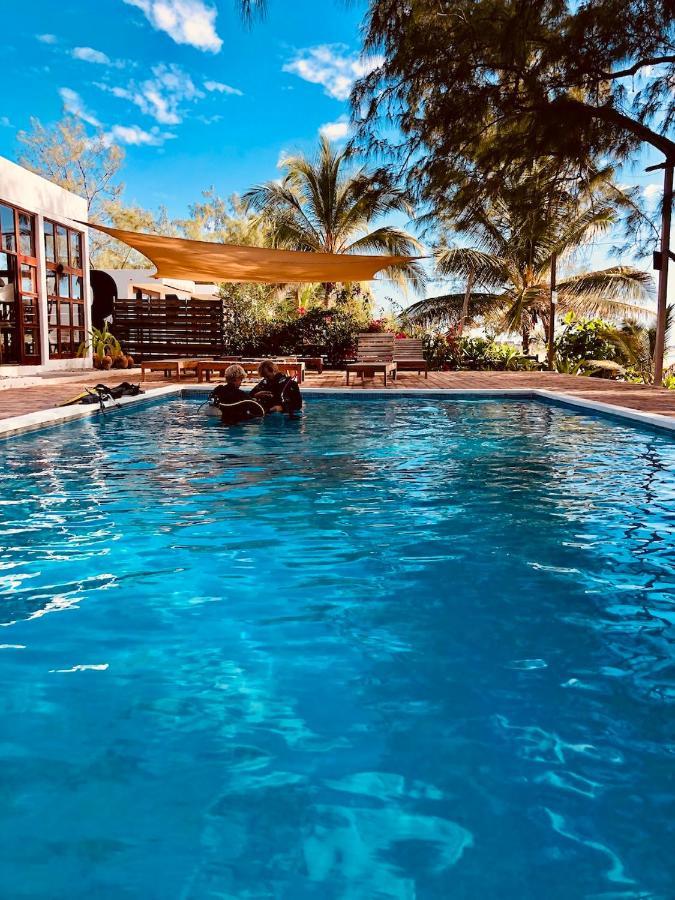 Liquid Dive Adventures Bed & Breakfast Tofo Bagian luar foto