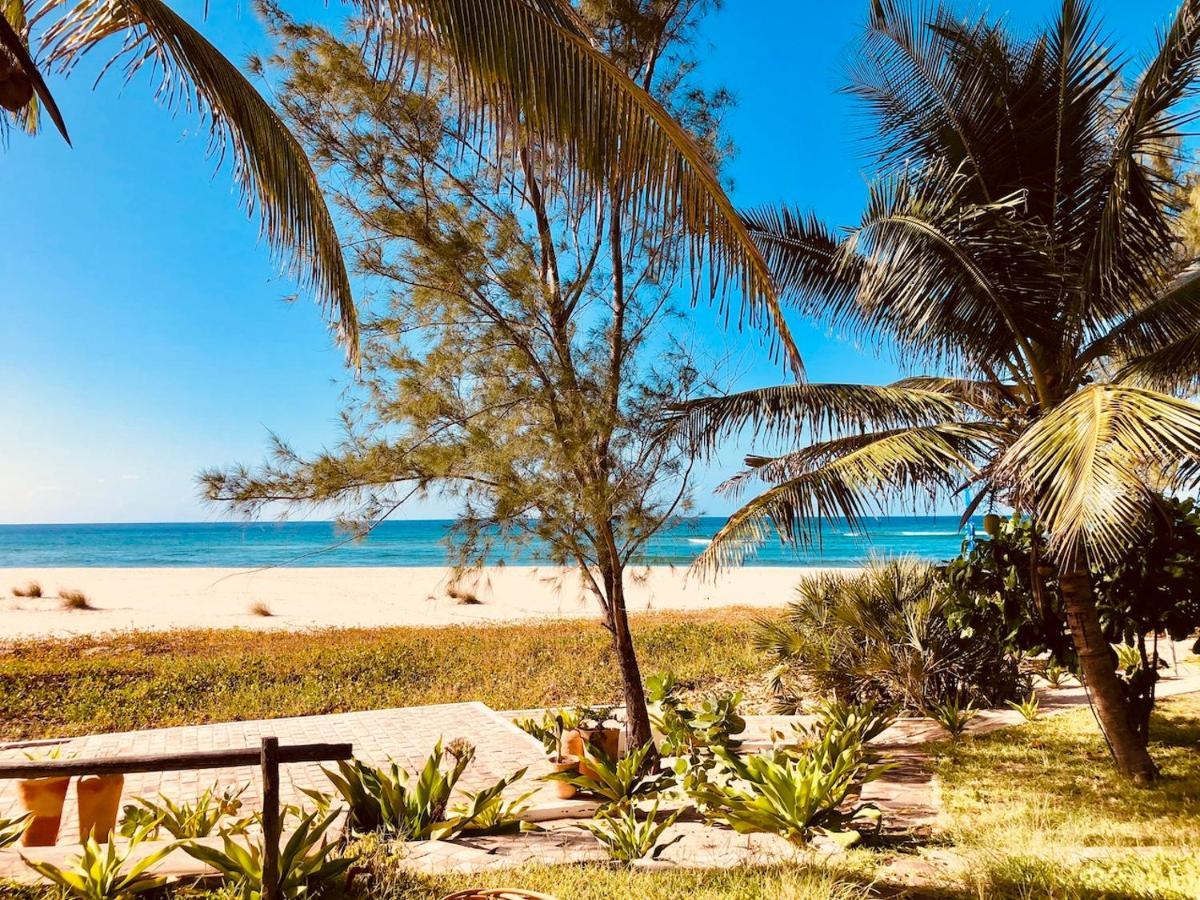 Liquid Dive Adventures Bed & Breakfast Tofo Bagian luar foto