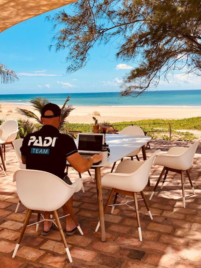 Liquid Dive Adventures Bed & Breakfast Tofo Bagian luar foto