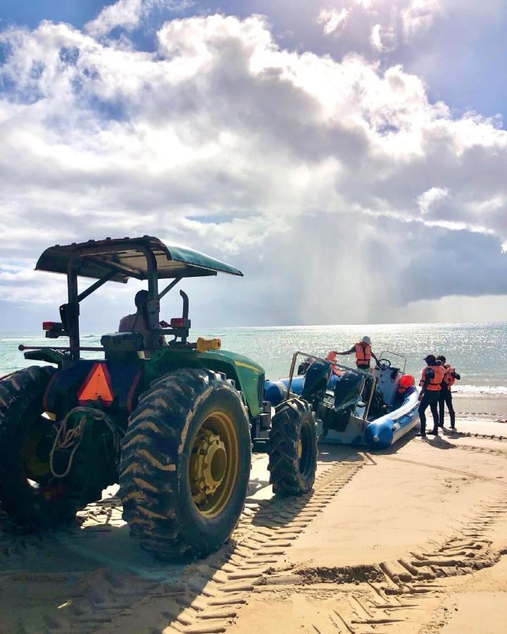 Liquid Dive Adventures Bed & Breakfast Tofo Bagian luar foto