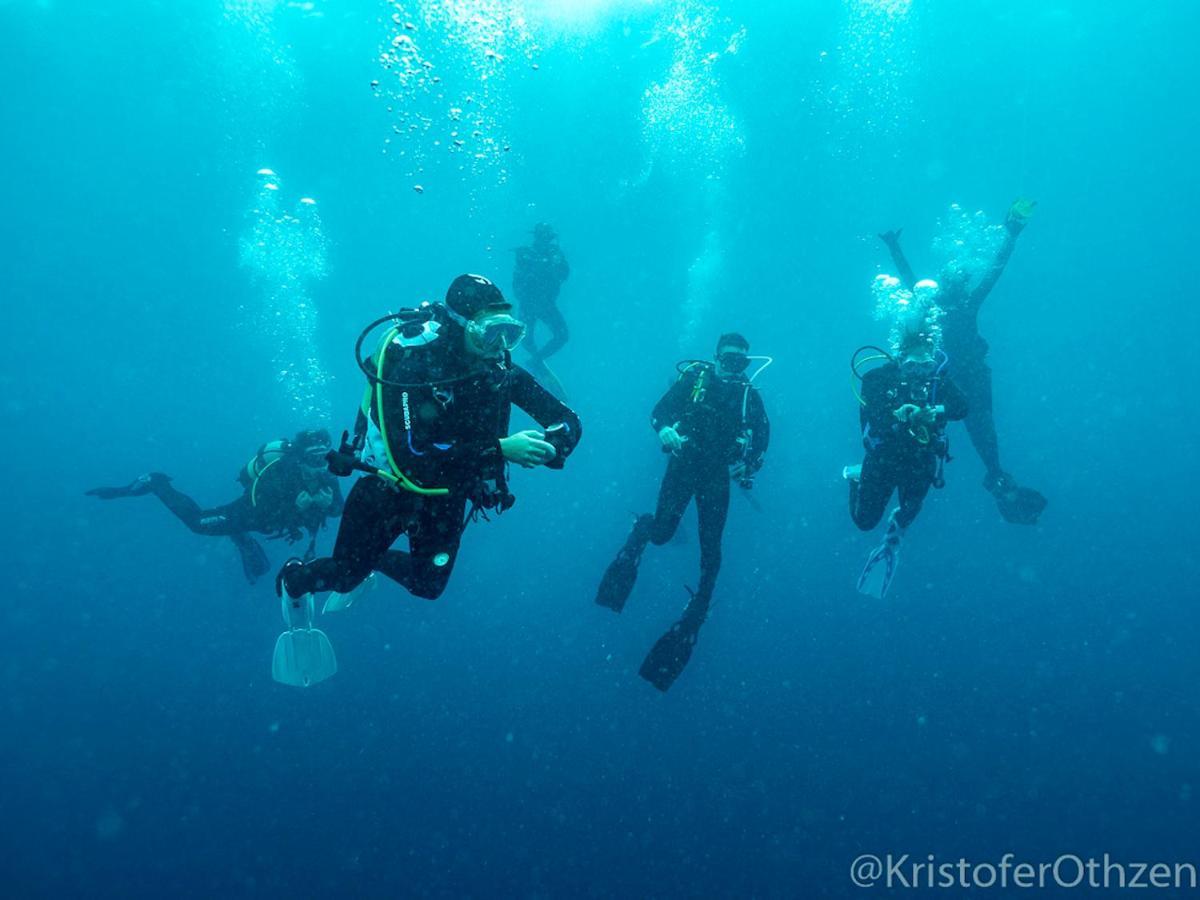 Liquid Dive Adventures Bed & Breakfast Tofo Bagian luar foto