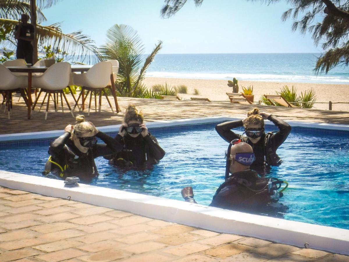 Liquid Dive Adventures Bed & Breakfast Tofo Bagian luar foto