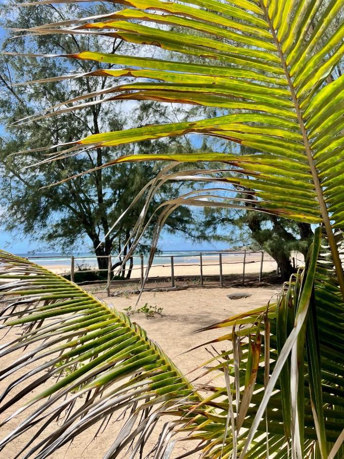 Liquid Dive Adventures Bed & Breakfast Tofo Bagian luar foto