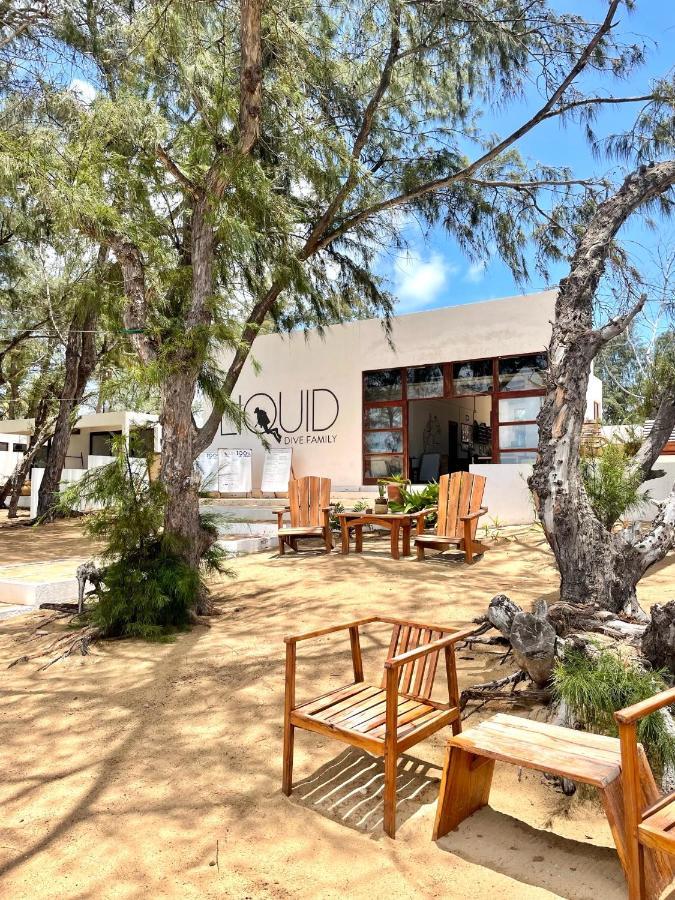 Liquid Dive Adventures Bed & Breakfast Tofo Bagian luar foto