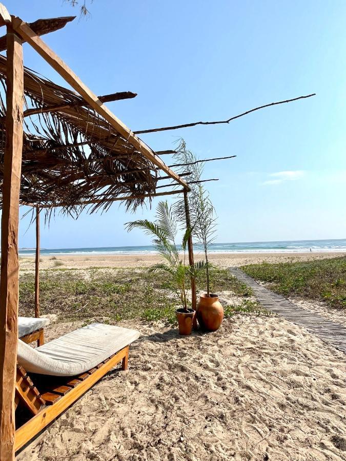 Liquid Dive Adventures Bed & Breakfast Tofo Bagian luar foto