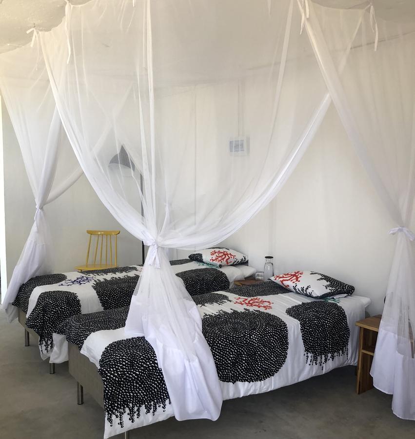 Liquid Dive Adventures Bed & Breakfast Tofo Bagian luar foto