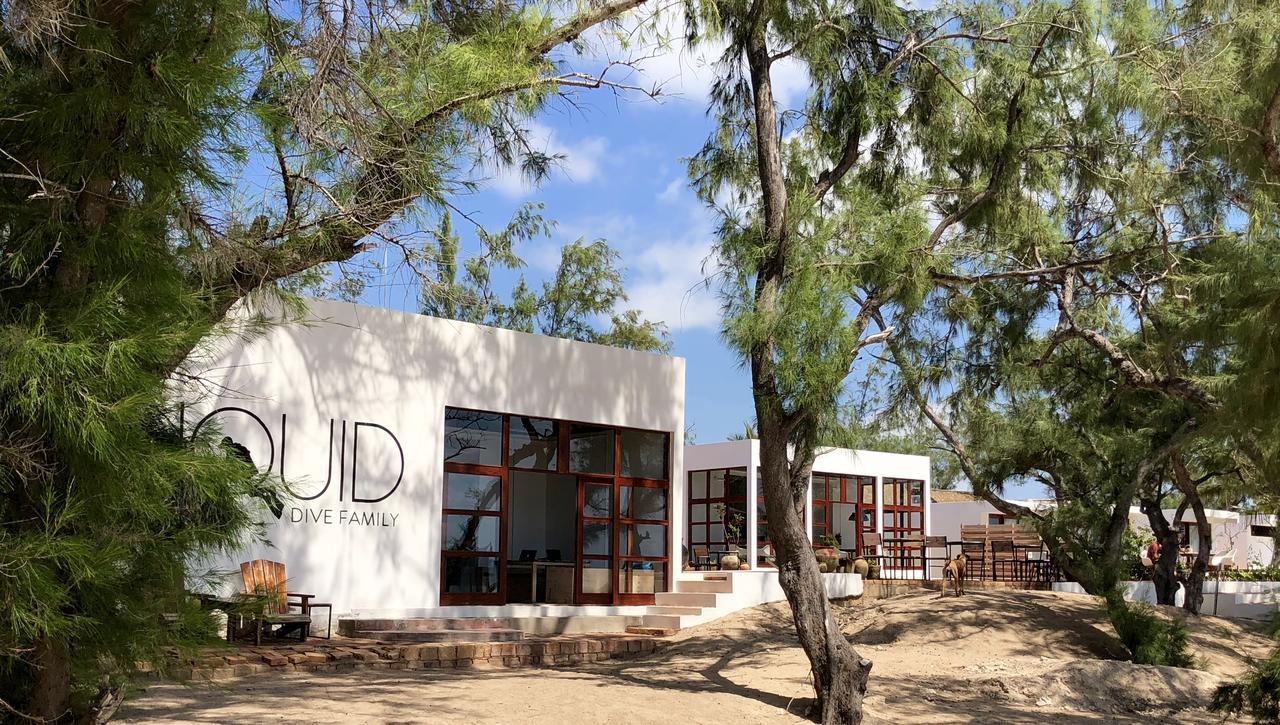 Liquid Dive Adventures Bed & Breakfast Tofo Bagian luar foto