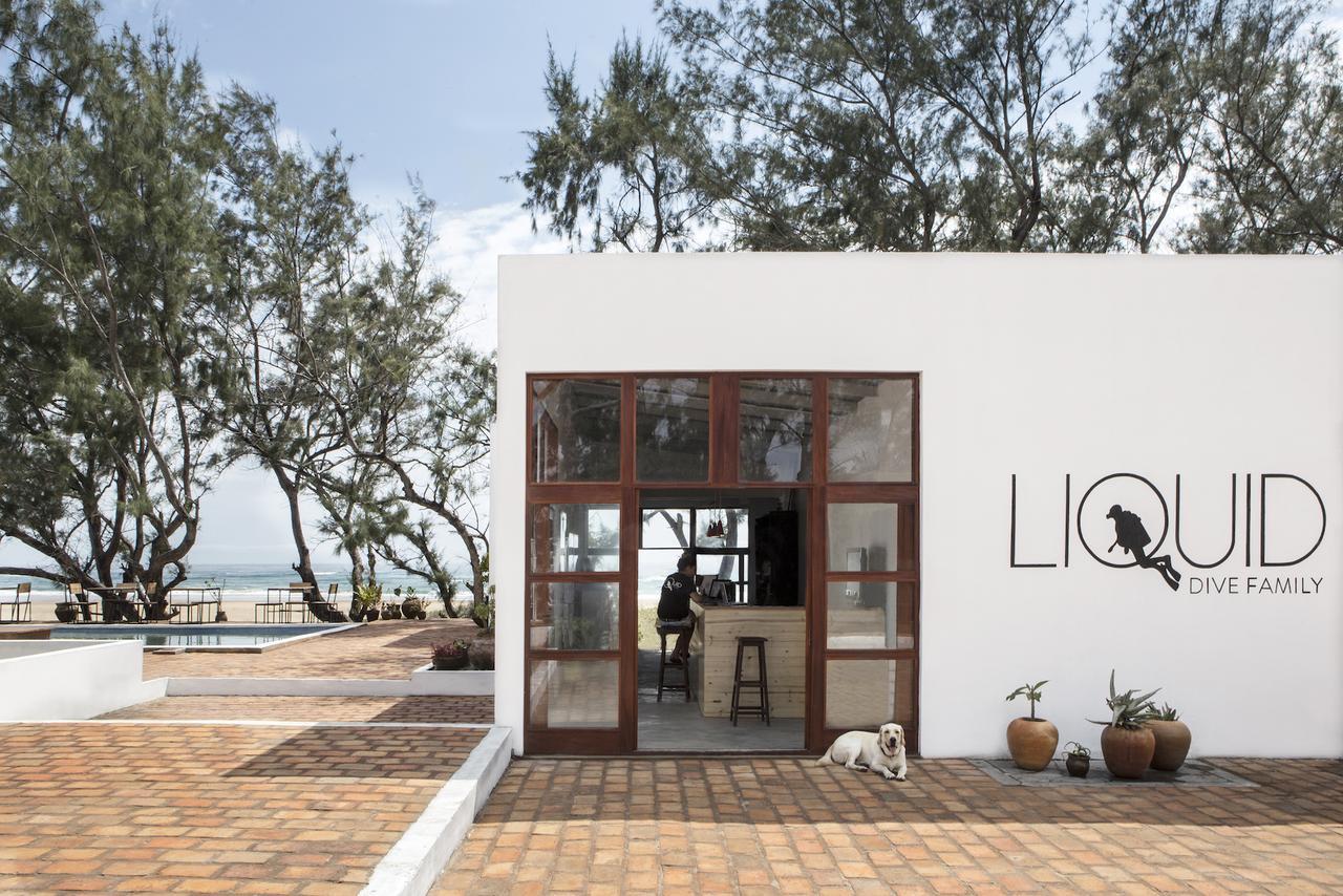 Liquid Dive Adventures Bed & Breakfast Tofo Bagian luar foto