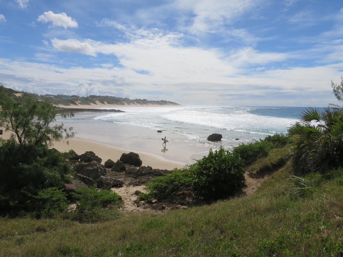 Liquid Dive Adventures Bed & Breakfast Tofo Bagian luar foto