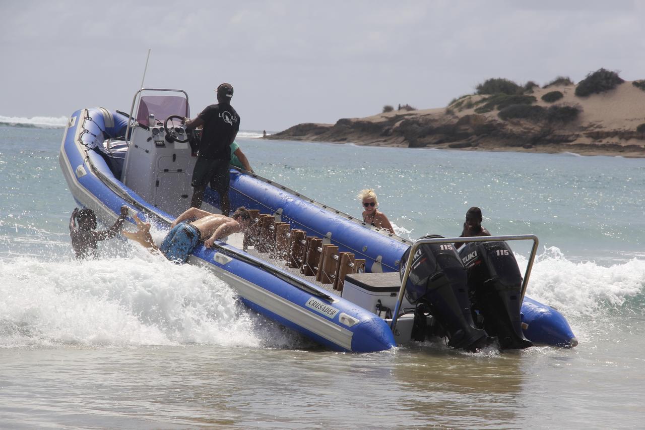 Liquid Dive Adventures Bed & Breakfast Tofo Bagian luar foto