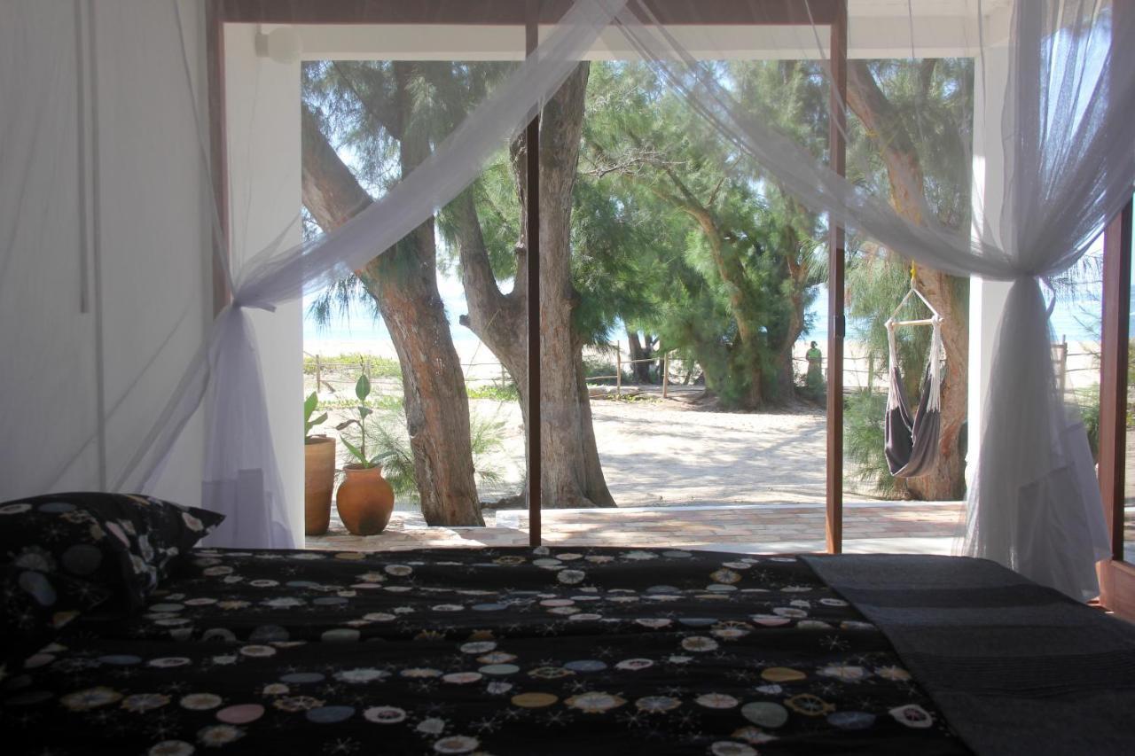 Liquid Dive Adventures Bed & Breakfast Tofo Bagian luar foto