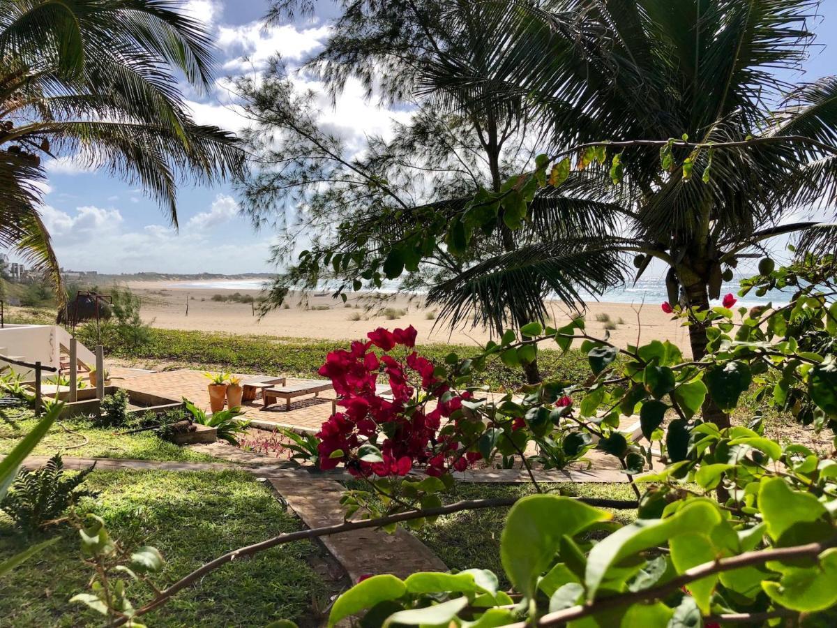 Liquid Dive Adventures Bed & Breakfast Tofo Bagian luar foto