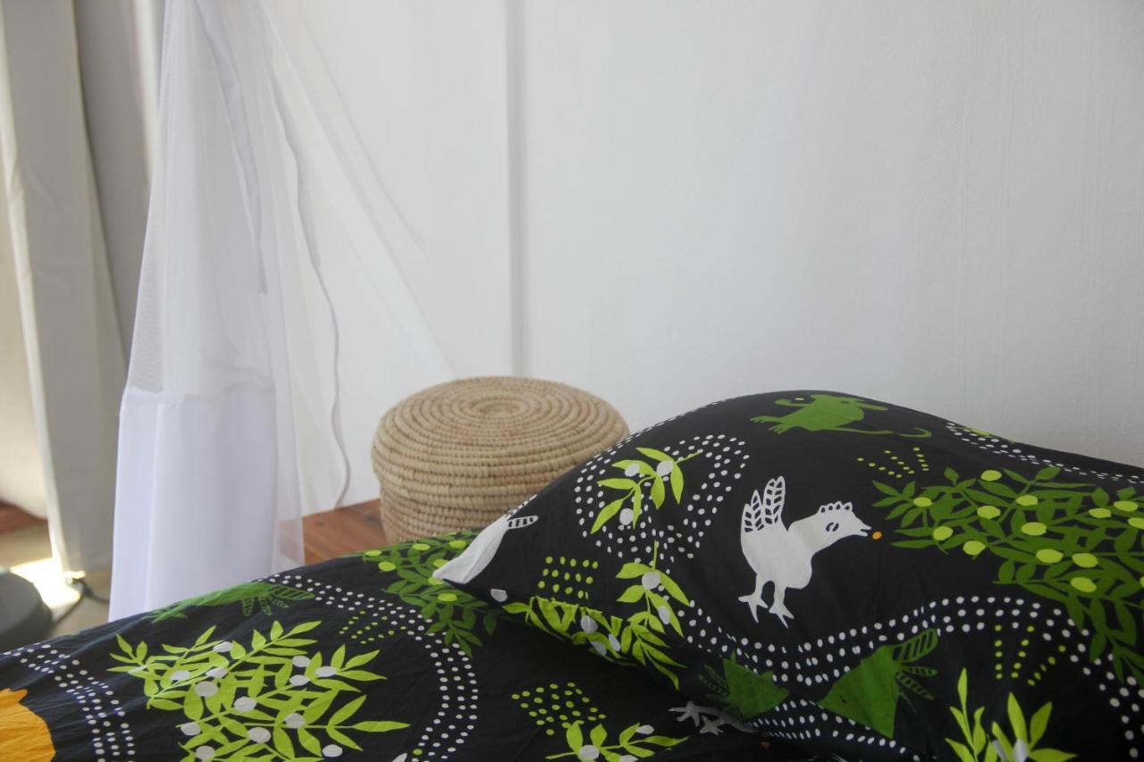 Liquid Dive Adventures Bed & Breakfast Tofo Bagian luar foto