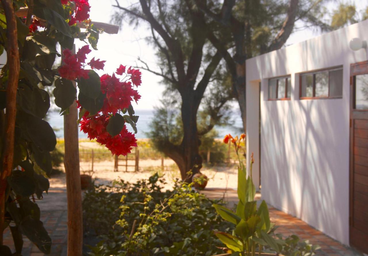 Liquid Dive Adventures Bed & Breakfast Tofo Bagian luar foto